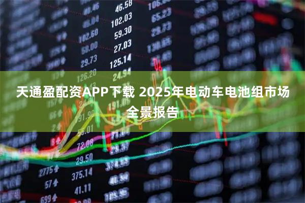 天通盈配资APP下载 2025年电动车电池组市场全景报告