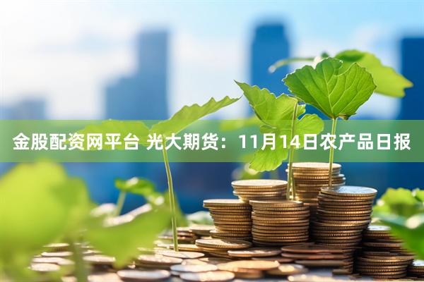 金股配资网平台 光大期货：11月14日农产品日报