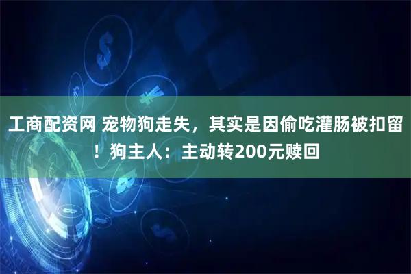工商配资网 宠物狗走失，其实是因偷吃灌肠被扣留！狗主人：主动转200元赎回