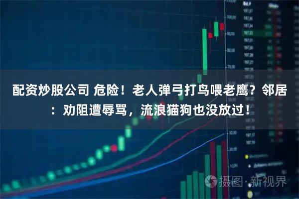 配资炒股公司 危险!老人弹弓打鸟喂老鹰?邻居:劝阻遭辱骂,流浪猫狗也没放过!