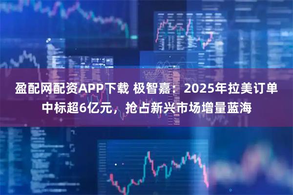 盈配网配资APP下载 极智嘉：2025年拉美订单中标超6亿元，抢占新兴市场增量蓝海